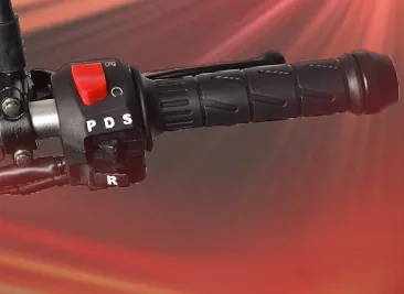 PDS ride selector